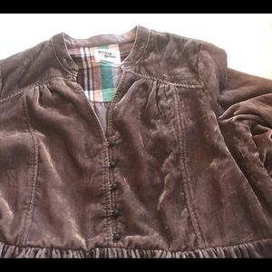 Anthropology Holding Horse Velvet Dress